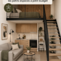 Vue d'un salon décoré de manière pratique pour optimiser un petit espace