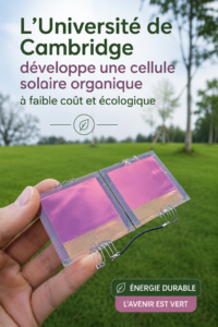 Installation de cellules solaires organiques sur un toit, alliant esthétique et durabilité.