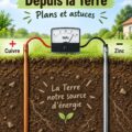 Image d'une salle de séjour décorée avec des éléments naturels et écoresponsables