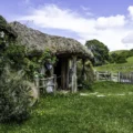 Belvane Jardin vue d'ensemble du hameau-jardin créatif